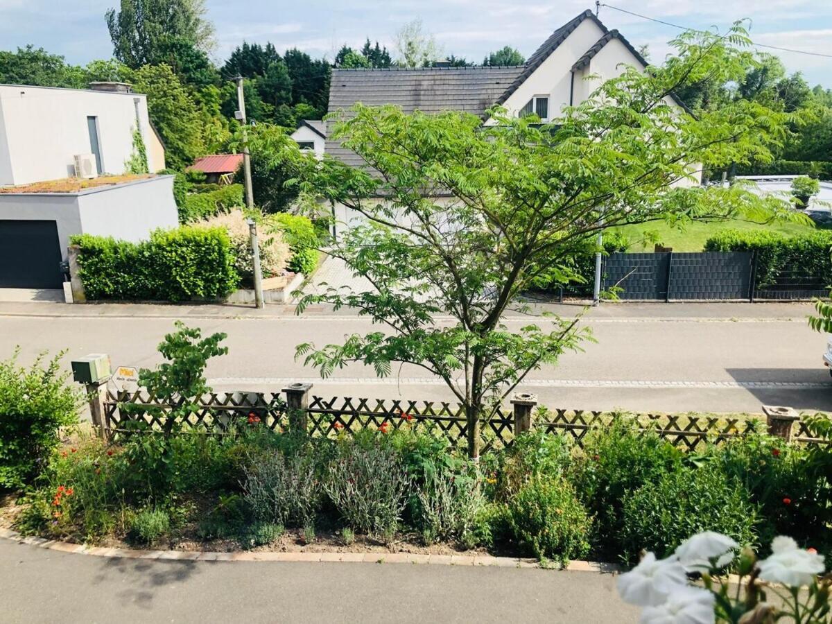 Gite Du Ried Bischwiller Eksteriør bilde